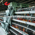 Cage de Poulet Automatique Cage A3-96 / Cage Poulet Cage à vendre aux Philippines / Poultry Farm House Design